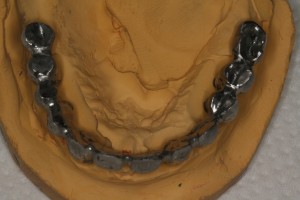 IMG 0501